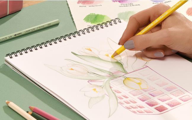 Boîte 18 Couleurs SUPRACOLOR™ Aquarelle – Édition Spéciale – Image 8
