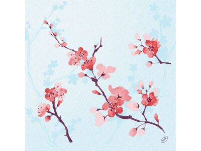 Serviettes en papier Cherry Breeze 40 cm x 40 cm, 50 Pièce/s