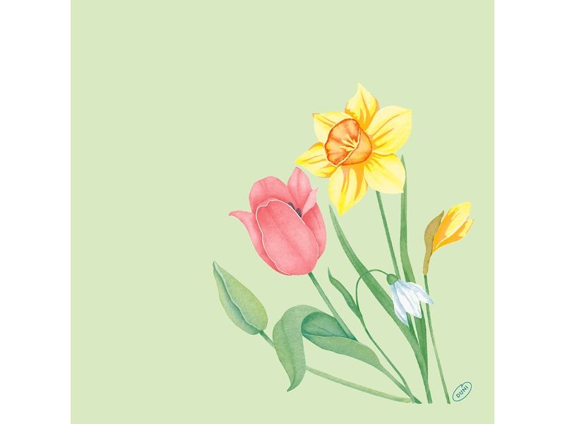 Serviettes en papier Spring Melody 40 cm x 40 cm, 60 Pièce/s