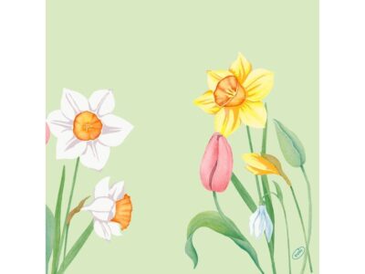 Serviettes en papier Spring Melody 40 cm x 40 cm, 50 Pièce/s