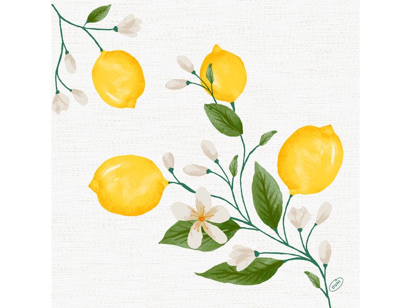 Serviettes en papier Lemon Fiesta 40 cm x 40 cm, 60 Pièce/s